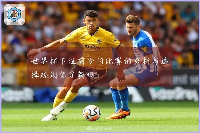 世界杯下注前冷门比赛的分析与选择规则你了解吗