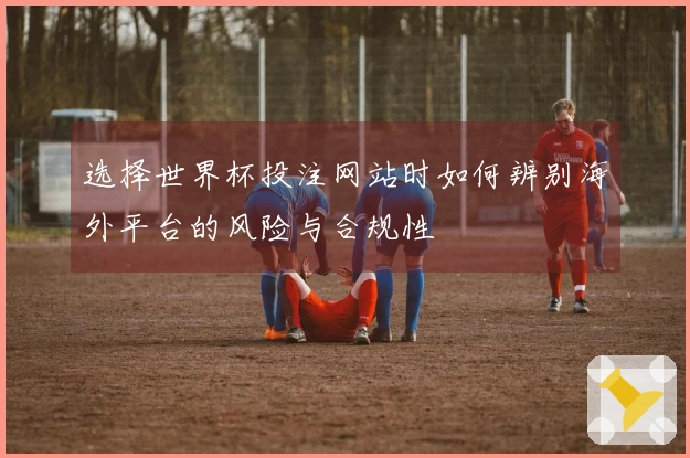 选择世界杯投注网站时如何辨别海外平台的风险与合规性