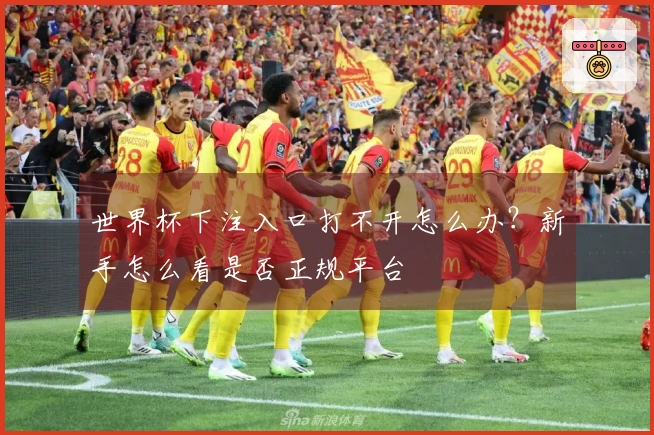 世界杯下注入口打不开怎么办？新手怎么看是否正规平台