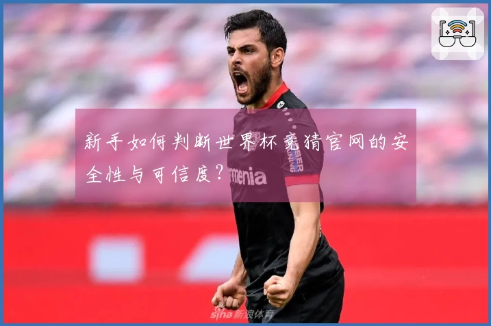 新手如何判断世界杯竞猜官网的安全性与可信度？